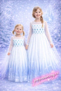 Elsa šaty Frozen 2 – dětský kostým pro holčičky bílo-modrý